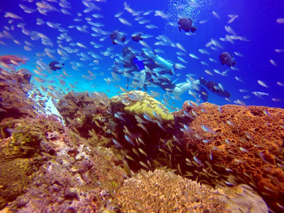 Anema Wellness & Resort Gili Lombok - Diving Center Padi Tanjung  Exteriér fotografie