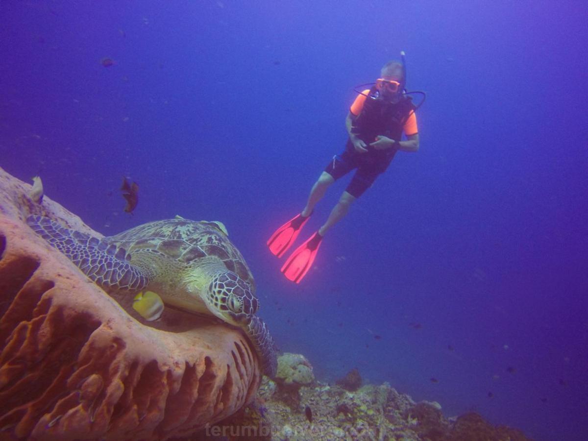 Anema Wellness & Resort Gili Lombok - Diving Center Padi Tanjung  Exteriér fotografie