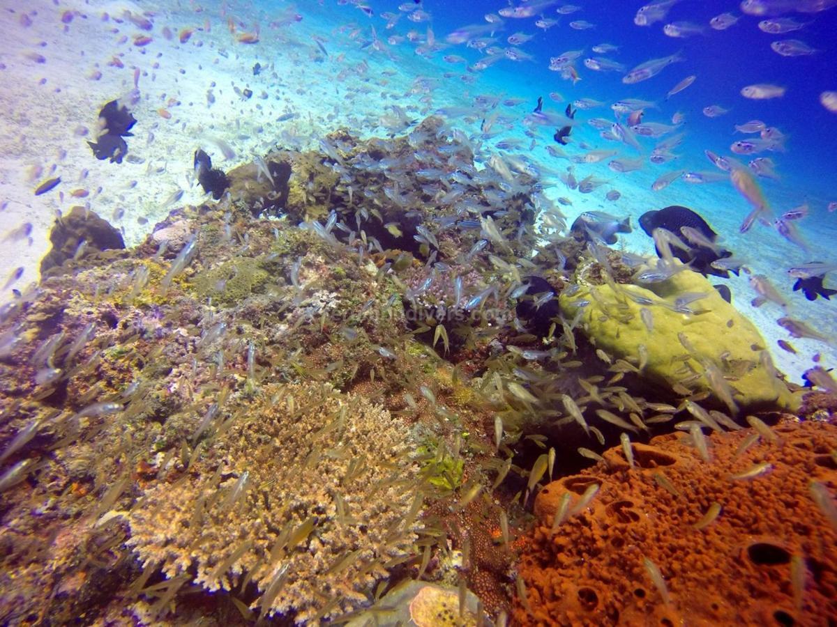 Anema Wellness & Resort Gili Lombok - Diving Center Padi Tanjung  Exteriér fotografie